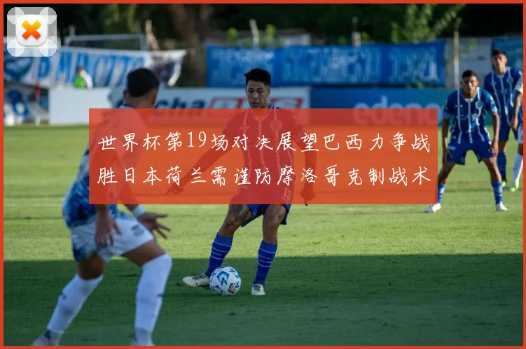 世界杯第19场对决展望巴西力争战胜日本荷兰需谨防摩洛哥克制战术