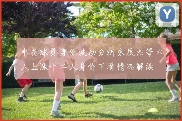 申花球员身价波动分析朱辰杰等六人上涨十二人身价下滑情况解读